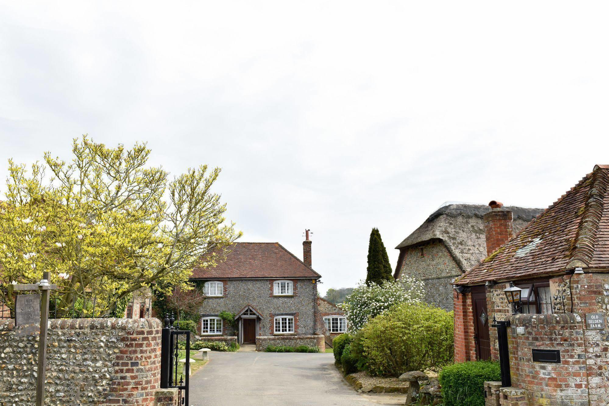Old Selden Farm B&B Clapham  Exteriör bild